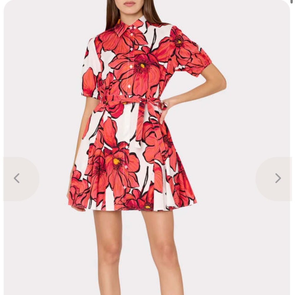 MILLY JUNI WINDFLOWER PASTEL POPLIN DRESS - (SIZE 0)